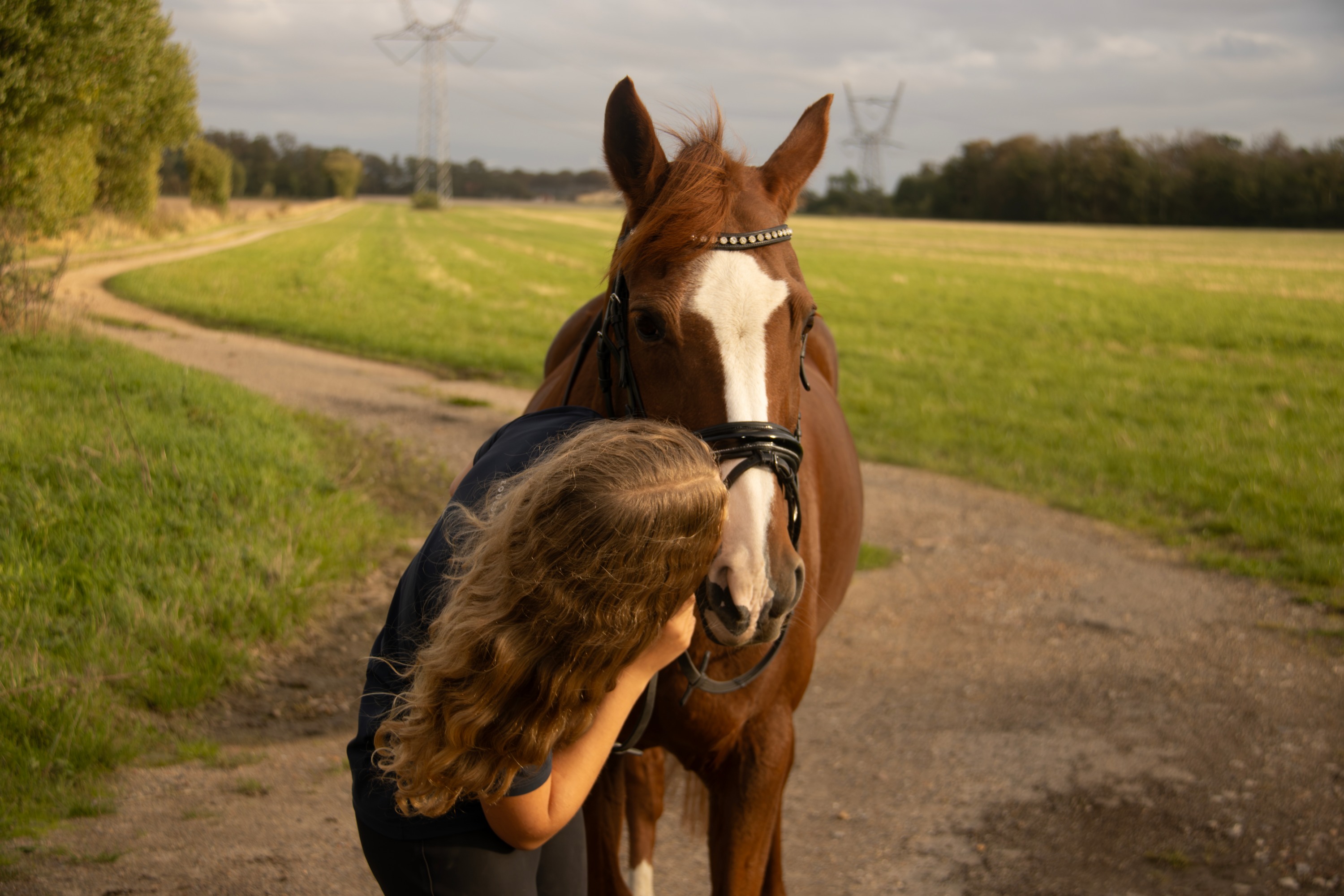 Horse and handler on a country lane