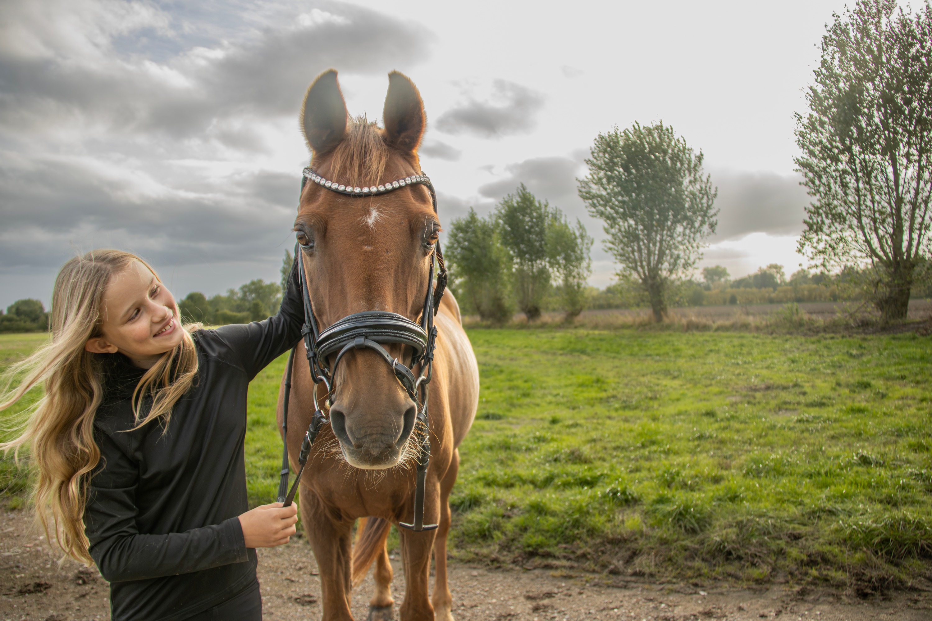 Horse portrait with handler in an open field beneath a dramatic sky